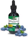 Natures Answer's Alcohol-Free Blueberry Fruit 1000mg 2oz Extracto Silencio Ojo y Visión Apoyo Silencio Alto en Antioxidantes ¦ Promueve la circulación sanguínea ¦ Reslieves Red and Itchy Eyes latitud Single Count