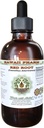Red Root Alcohol-Free Liquid Extract, Red Root (Ceanothus Americanus) Dried Root Bark Glycerite Natural Herbal Suplemento, Hawaii Pharm, USA 2 fl.oz