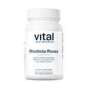 Vital Nutrients Rhodiola Rosea - Rhodiola Supplement for Healthy Energy, Memory, and Stress Support - Gluten, Dairy, Soy Free - Non-GMO - 60 Capsules