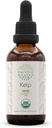 HerbEra Kelp B60 USDA Organic Tincture ← Extracto libre de alcohol, gotas herbales de alta potencia ← Certified Organic Kelp (Ascophyllum nodosum) Planta seca (2 oz)