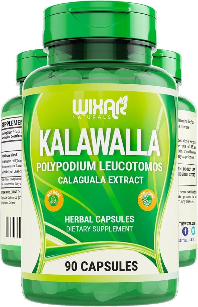 Wixar Polypodium Leucotomos Capsules – Calaguala Fern Leaves Extract Herb with Polypodium Leucotomos Pills - Vegetarian Immune, Skin, Alkaline Support Supplements for Men & Women – 90 Capsules