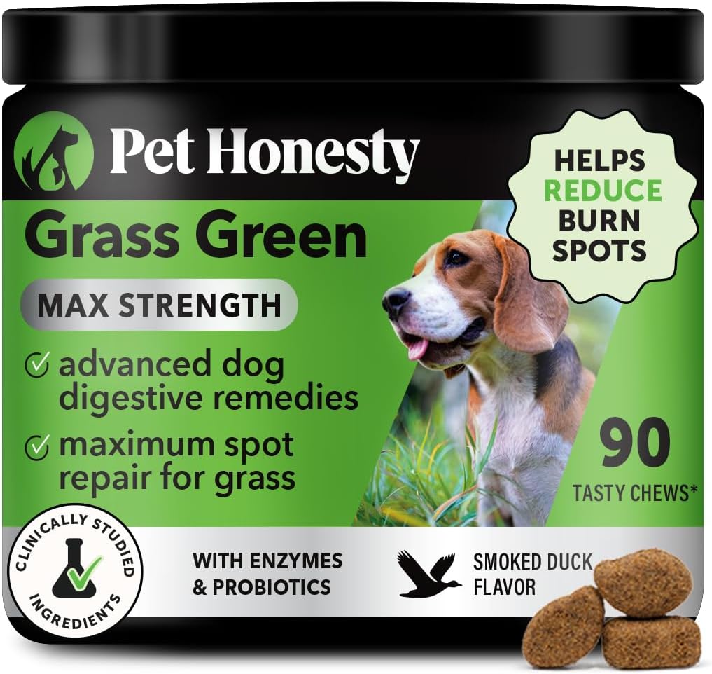 Grass Green Max Strength Chews for Dogs – Premium Dog Urine Lawn Spot Saver Supplement – Supports Healthy Digestion, Gut & Urinary Health with Probiotics, DL-Methionine & Yucca (90ct Duck Flavor)