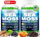 Sea Moss Gummies, 3100mg Irish True Sea Moss Seamoss Gummies for Women &amp; Men with Bladderwrack, Burdock Root, Elderberry Vitamin C and Zinc for Detox Cleanse, Immune, Skin, Digestive, Organic, 120Ct