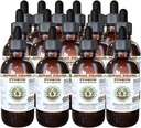 African Cherry Pygeum Alcohol-Free Liquid Extract, African Cherry Pygeum (Prunus africana) Bark Glycerite Natural Herbal Supplement, Hawaii Pharm, USA 15x4 oz