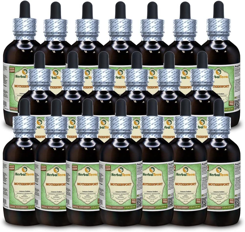 Motherwort (Leonurus Cardiaca) Glycerite, Organic Dried Herb Alcohol-Free Liquid Extract (Marca: HerbalTerra, Proudly Made in USA) 20x4 fl.oz (20x120 ml)