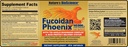 Biociencia de la naturaleza ® FUCOIDAN Phoenix Avanzado: 40.000 mg de Fucoidan orgánico puro + 64.000 mg de hongo puro