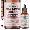 TrueSeaMoss Organic Irish Sea Moss Liquid Drops – Black Cumin Seed Oil, Spirulina, Burdock Root Extract, Vitamin C & Zinc – Strawberry Flavor – 30 Servings