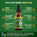 VitaLiver - Suplemento de salud del hígado - Soporte para limpieza del hígado &amp; detox - Entrega líquida para absorción - Cardo de leche, Artichoke, Chanca Piedra, Dandelion &amp; Más!