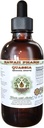 Quassia Extracto líquido libre de alcohol, Quassia (Quassia Amara) Dried Bark Glycerite Natural Herbal Suplemento, Hawaii Pharm, USA 2 fl.oz