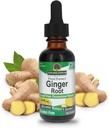 Respuesta de la naturaleza Ginger Root Alcohol Gratuito Extracto 1 onza ← Apoyo Stomach Función ← Vegan ← Vegetarian ← Non-GMO TEN Gluten Free