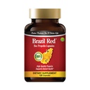 Brasil Red Bee High Concentrate Propolis (120 cápsulas)