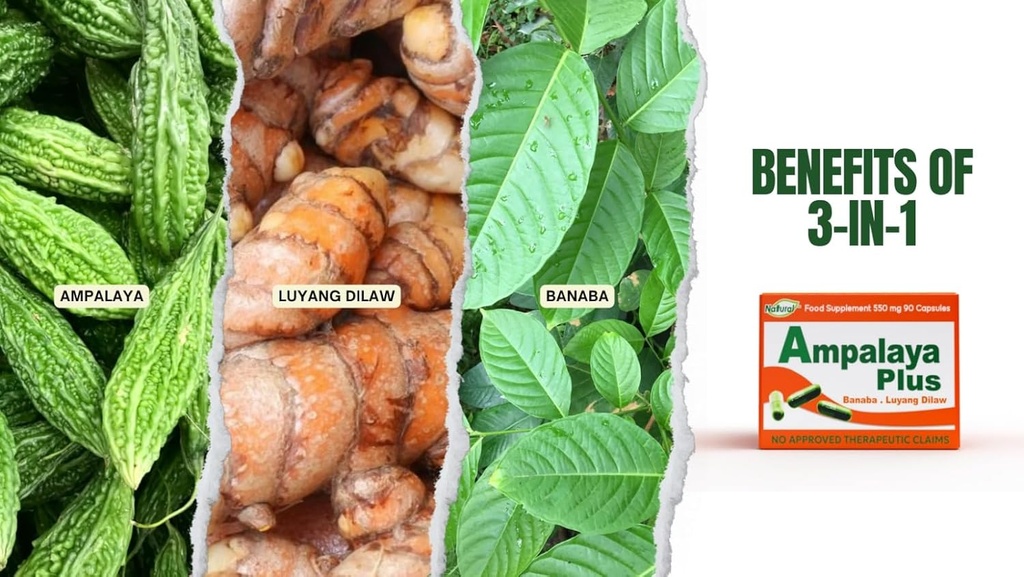 Ampalaya Plus 550mg 90 cápsulas - Pack of 1 - with Banaba, Turmeric Ginger and Bitter Melon by Ampalaya Plus - Halal Herbal Suplements