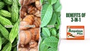 Ampalaya Plus 550mg 90 cápsulas - Pack of 1 - with Banaba, Turmeric Ginger and Bitter Melon by Ampalaya Plus - Halal Herbal Suplements