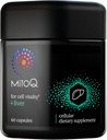 MitoQ +Liver Premium CoQ10 Antioxidante - Contiene Mitoquinol Mesylate, Choline, Milk Thistle, Selenium - Apoya Metabolismo, Salud del hígado, Detoxificación natural del cuerpo " Vitalidad celular (60 cápsulas)
