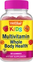 WellSi Kids Multivitamin Gummies ← Vitamin C, D3, E, A, B6, B12, Biotin, Zinc, Folic Acid, Iodine y Niacin ← Immune and Energy Support ← Orange y Berry Flavor ← 60 Conde