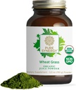 PURE SYNERGY Organic Wheat Grass Juice Powder ← Chlorophyll-Rich Green Juice Powder ← Raw Organic USA Wheat Grass  durable for Energy, Alkaline Balance, and Digestion Support (5.3 oz.)