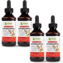 Maxx Herb Ashwagandha Extracto – Max Strength Liquid Tincture Absorbs Better Than Capsules o Powder - para la resistencia, la memoria y el soporte de inmunológico – 4 botellas, 4 Oz Cada (240 servidumbres)