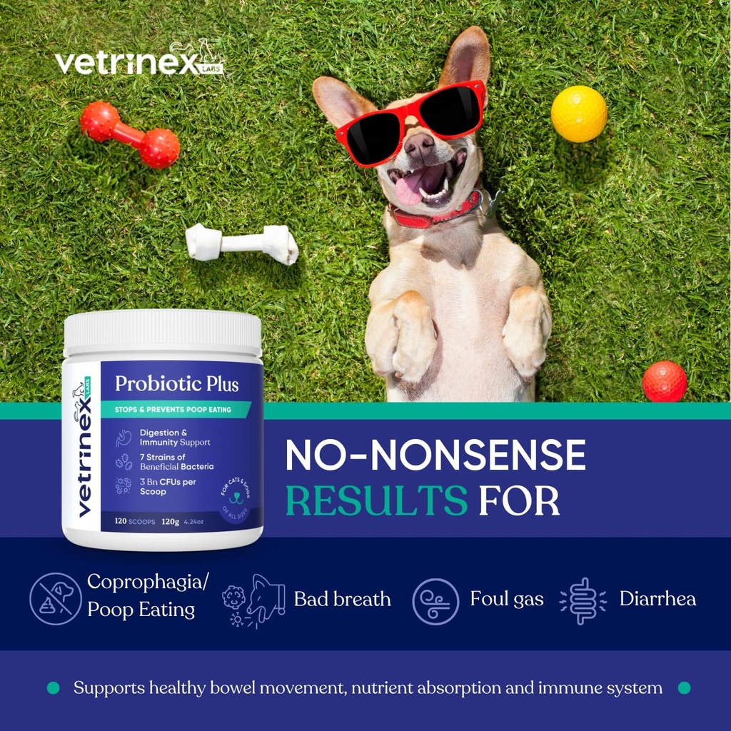 Coprofagia Poop Eating Deterrent " Prevention, Stop " Prevent Stool Eating Treatment - Probiotics for Dogs, Cats and Puppies - Forbids Dog from Eating Poop - Probiotic Powder (120 GMS)