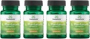 Swanson L. Plantarum - Suplemento Digestivo Promoción Gastrointestinal Balance & Bowel Regularidad - Fórmula natural para ayudar a reducir el rubor - (30 cápsulas vegetales) 4 Pack