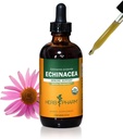 Herb Pharm Certified Organic Echinacea Root Liquid Extract for Immune System Support, Organic Cane Alcohol, 4 Ounce