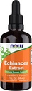 AHORA Suplementos de alimentos, Echinacea Extracto líquido con gotero, soporte de sistema inmunitario*, 2 onzas