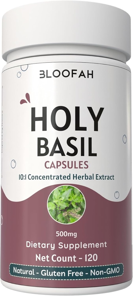 Hoja de Basil Santo Capsules 500mg ← Concentrado 10:1 Extracto Ocimum tenuiflorum Herbal Suplemento Silencio No-GMO, Libre de gluten Silencio Fácil de Tragar (120 Conde (Pack de 1))