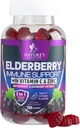Immune Support Gummies with Elderberry Extract - Sambucus Elderberry Gummy with Zinc &amp; Vitamin C, Natural Vegan Immune Support Supplement for Adults &amp; Kids, Gummy Elder berry Vitamins - 120 Gummies