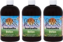 Yerba Prima Great Plains Bentonite Clay - 16 oz (Pack of 3) - Natural Internal Liquid Clay Cleansing Supplement