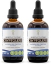 Secrets of the Tribe Cryptolepis Tincture Extract sin alcohol, High-Potency Herbal Drops, Tincture Made from Wildcrafted Cryptolepis Sanguinolenta 2x4 oz