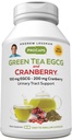 ANDREW LESSMAN Green Tea EGCG & Cranberry 180 Capsules - Estándarizado para Catechins y Polyphenols. Ayuda a proteger los tejidos, órganos y sistemas a lo largo del cuerpo. Powerful Anti-oxidant Support