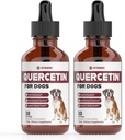 Quercetina para perros ← Alivio de la Alergia del Perro ← Quercetina para Perros Alergia del Perro Silencio para Perros Quercetina ← Alergia del Perro ← Perro Quercetin Alergias del Perro