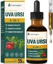 Uva Ursi Bearberry Natural Diuretic Drops, Urinary Health & Kidney Cleanse Detox Herbal Supplement Support UTI & Water Away, Extracto W/Dandelion Root Cranberry, Alcohol-Free Tincture.2oz
