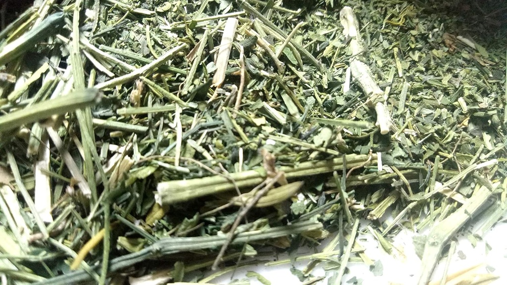 Antigua hierba ayurvédica india Swertia,Chirayata, chirata de Sanaa Zesty (4)