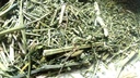 Antigua hierba ayurvédica india Swertia,Chirayata, chirata de Sanaa Zesty (4)