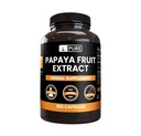 PURE Original INGREDIENTES Papaya Extracto (365 capsules) No hay magnesio o rifles de arroz, siempre puro, lab Verificado