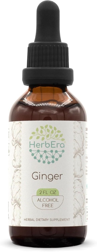 HerbEra Ginger B60 Alcohol-Free Herbal Extract Tincture, Super-Concentrated Ginger (Zingiber officinale) 2 fl oz