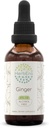 HerbEra Ginger B60 Alcohol-Free Herbal Extract Tincture, Super-Concentrated Ginger (Zingiber officinale) 2 fl oz