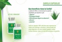 Nutrisalud Productos Capsulas de Savila, Aloe Vera Capsules 500mg. Set de 2 frascos 100 capsulas CADA uno.Efectivo Contra ulceras,agruras,mala Digestión,Colitis,estreñimiento. Dura mas de 3 Meses.