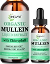 Mullein Drops for Lungs ← Powerful Mullein Leaf Extract with Chlorophyll, Vitamin C, Cinnamon for Immune Support, Detox &amp; Respiratory Support, Bronchial Support ← Non-GMO, Kosher, Gluten-Free