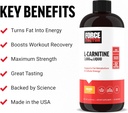 Factor de fuerza L Carnitina Suplemento, L-Carnitina líquida 3000 mg para ayudar a convertir grasa en energía, recuperación del músculo de apoyo y energía celular más alta, fuerza máxima, no GMO, sabor a naranja, 16 Oz.