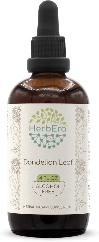 HerbEra Dandelion Leaf B120 Extracto herbario libre de alcohol Tintura, gotas líquidas concentradas Dandelión natural (Taraxacum Officinale) Hoja seca (4 fl oz)