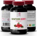 extracto de hawthorn suplemento - HAWTHORN BERRIES EXTRACT - hawthorn berry antioxidant, hawthorn berry extracto cápsulas, berry extracto polvo, energía de baya silvestre, hawthorn energía 1 botella 60 cápsulas