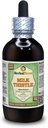 Milk Thistle (Silybum Marianum) Glycerite, Organic Dried Leaves Alcohol-Free Liquid Extract (Brand Name: HerbalTerra, Proudly Made in USA) 4 fl.oz (120 ml)