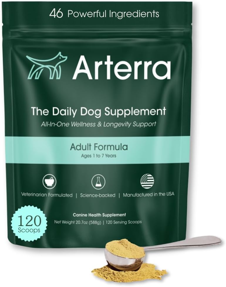 Adult Dog Powder Suplemento &amp; Food Topper – 46 Ingredientes para Gut, Immune & Brain Health – Daily Longevity Multivitamin for Whole Body Wellness TEN 120 Scoops