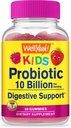 WellSí Probióticos para niños Gummies -10 Billion CFU - para Gut Health, Immune Health and Digestive Support - Berry Flavor Chewable Suplemento - Vegan, Non GMO, Gluten Free Kids Probiotic -60 Gummies