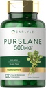 Carlyle Purslane Capsules Silencio 500mg Silencio 120 Conde Silencio Portulaca Oleracea Extracto Silencio No GMO, Gluten Suplemento Libre