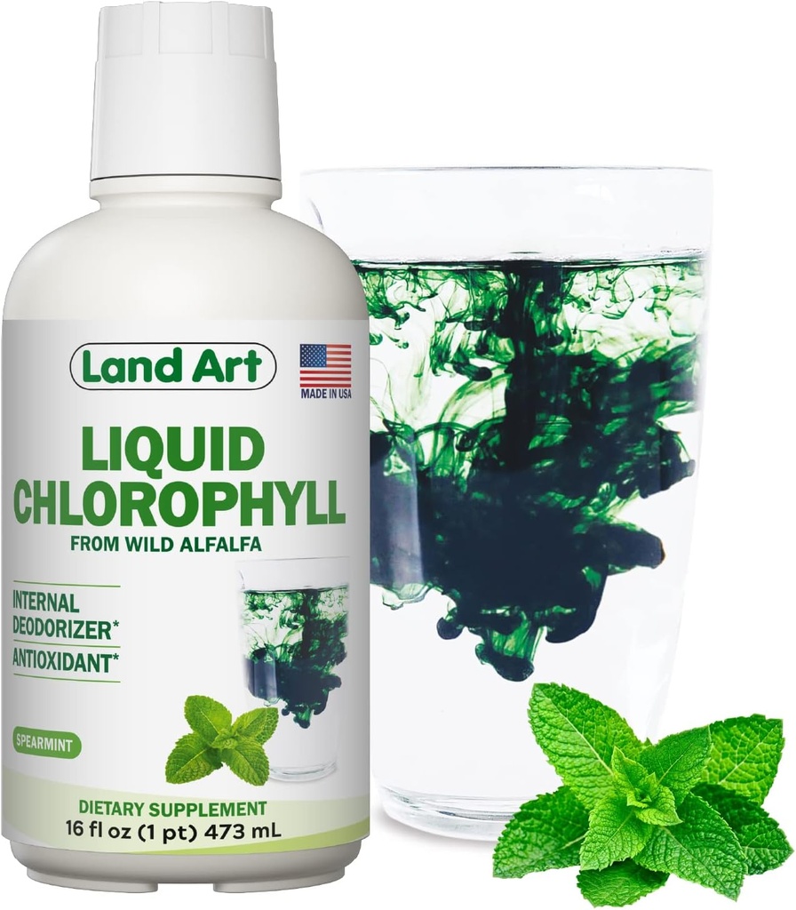 Land Art - Liquid Chlorophyll Mint – Cold-Extracted from Wild Non-GMO Alfalfa – Natural Clorofila Liquida – Antioxidante - Detox Supplement – Boost Energy – Alkalizing & Body Odor Neutralizer – 16 floz