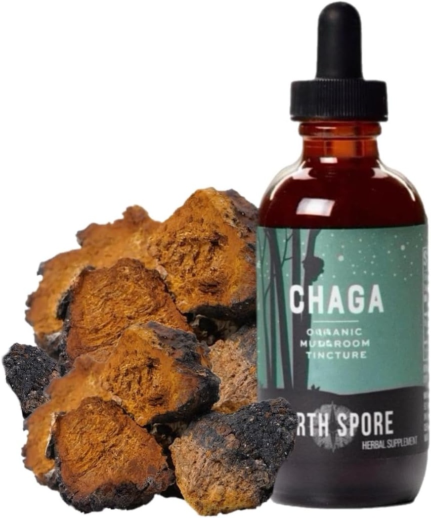North Spore Chaga Mushroom Tincture ← Energía &amp; Wellness Boosting Supplement Drops TEN Adaptogenic Superfood TEN Dual Extract Organic Blend, 100% Fruiting Bodies ← Non-GMO, Vegan - 2oz