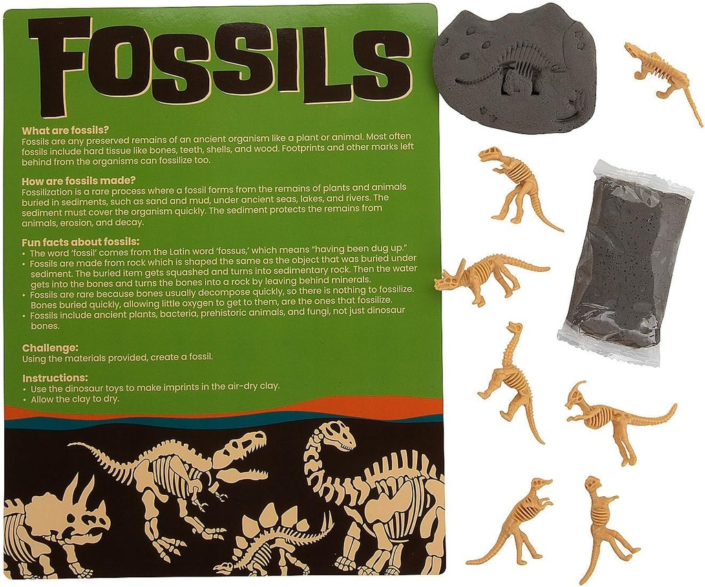 Fun Express Haz tu propio kit de artesanía de fósiles - Hace 12