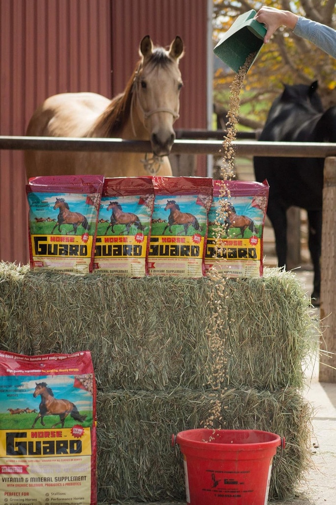 Horse Guard 4.6 lb, Equine Vitamin Mineral Supplement with Organic Selenium & Vitamin E